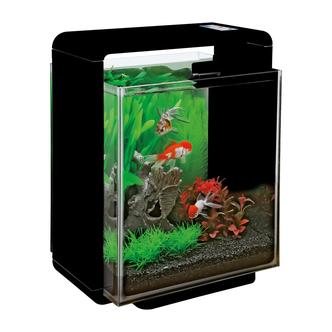SuperFish aquarium Home 25XL zwart Animal World